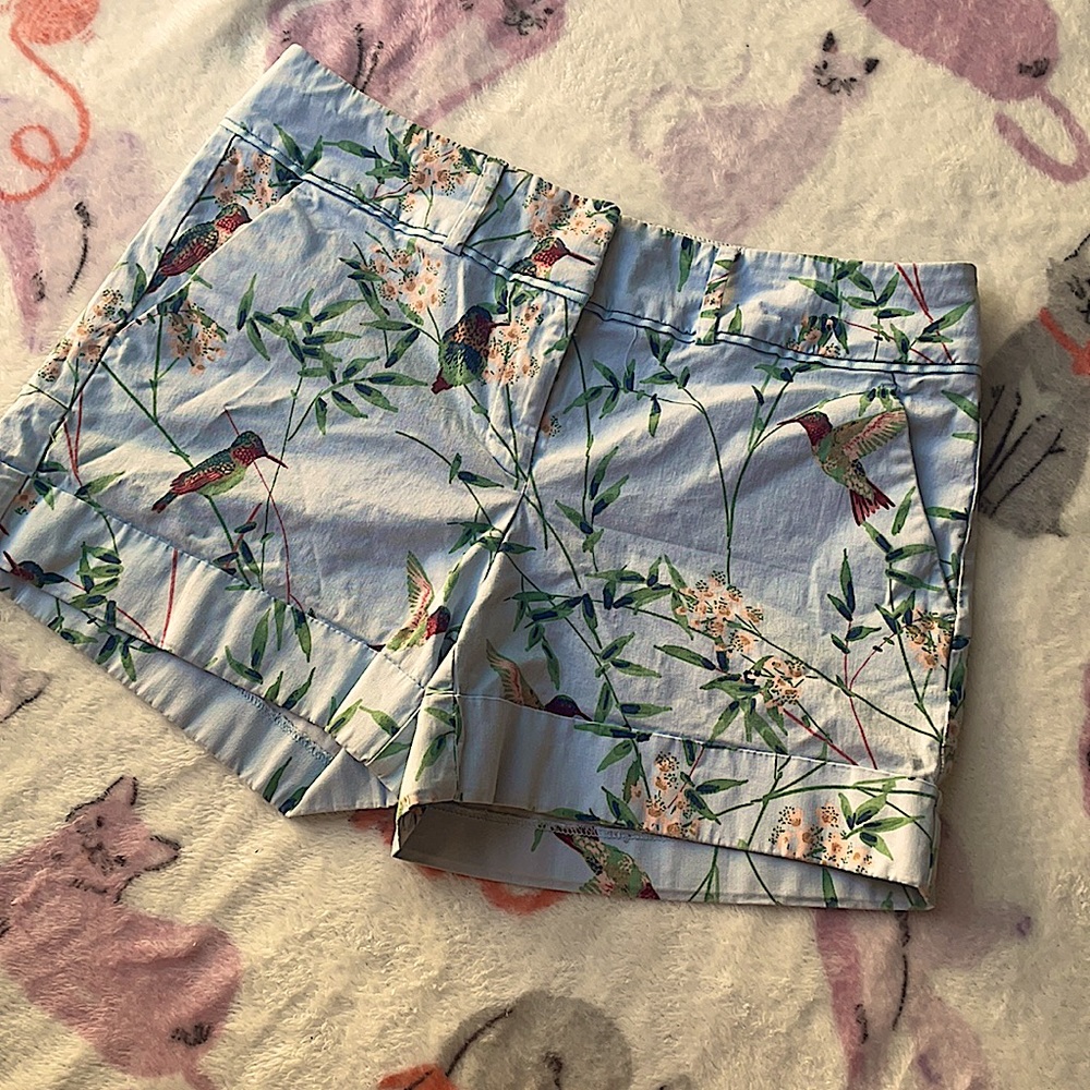 Hummingbird shorts, size 10, 7th Ave Design Studio, front and back pockets.